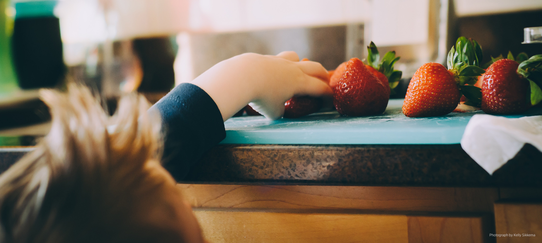 Termite & Pest Control Penrith Blue Mountains Blacktown